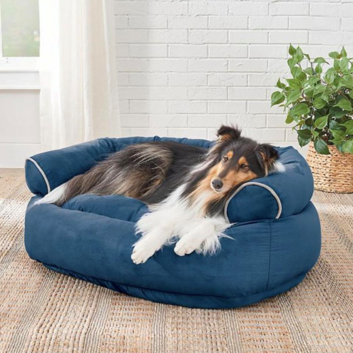 Giving our pets a comfortable bed so that they have a comfortable place to sleep or relax